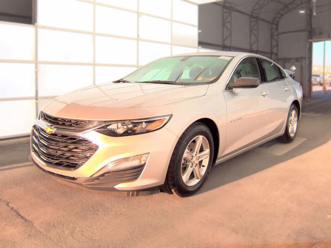 2022 CHEVROLET LS (1FL)