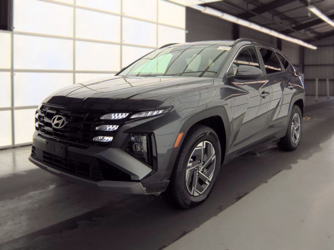 2025 HYUNDAI Blue