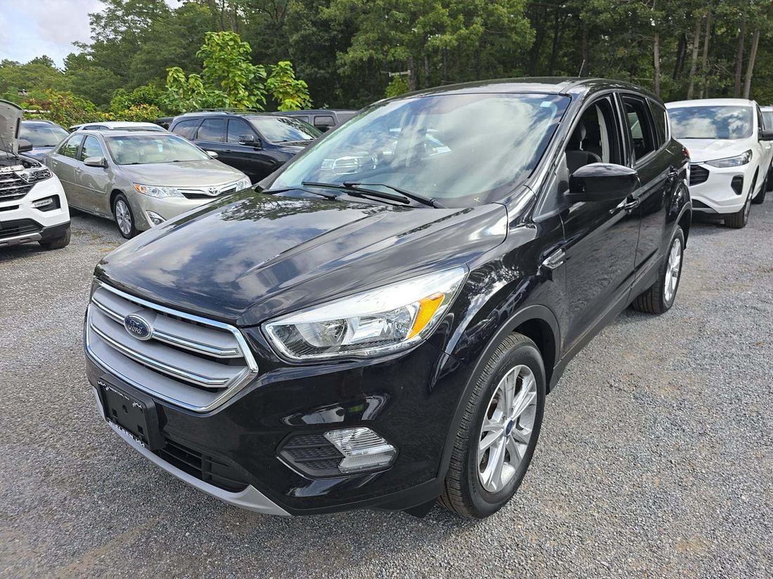 2019 FORD SE