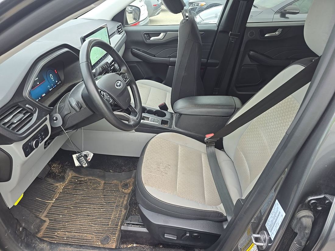 2024 FORD Active