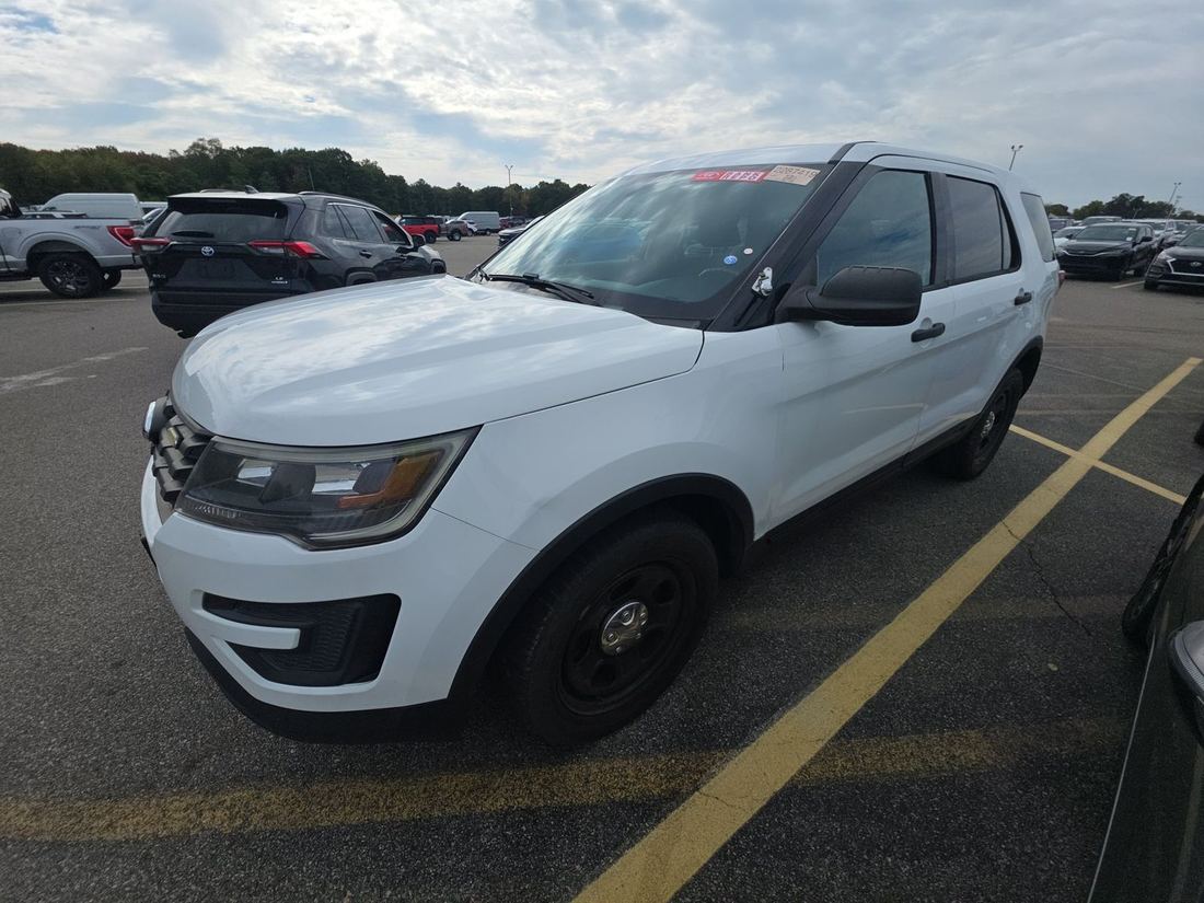 2017 FORD Police