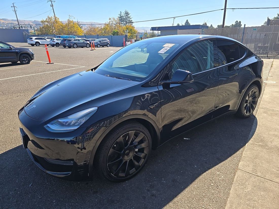 2020 TESLA Model Y