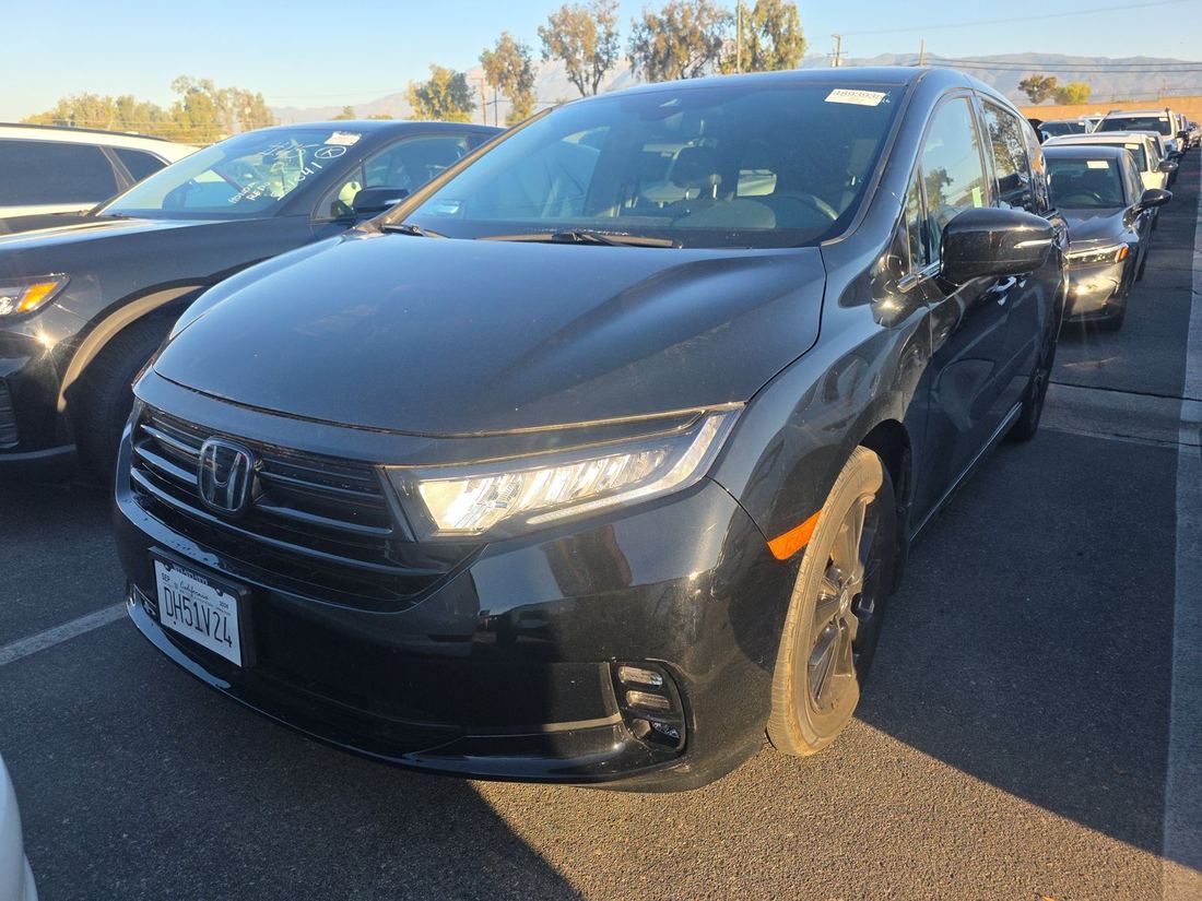 2024 HONDA Sport